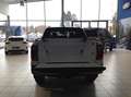 Ford Ranger Ranger Doppelkabine Wildtrak *** NOVA FREI*** Weiß - thumbnail 10
