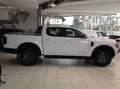 Ford Ranger Ranger Doppelkabine Wildtrak *** NOVA FREI*** Weiß - thumbnail 13