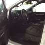 Ford Ranger Ranger Doppelkabine Wildtrak *** NOVA FREI*** Weiß - thumbnail 6