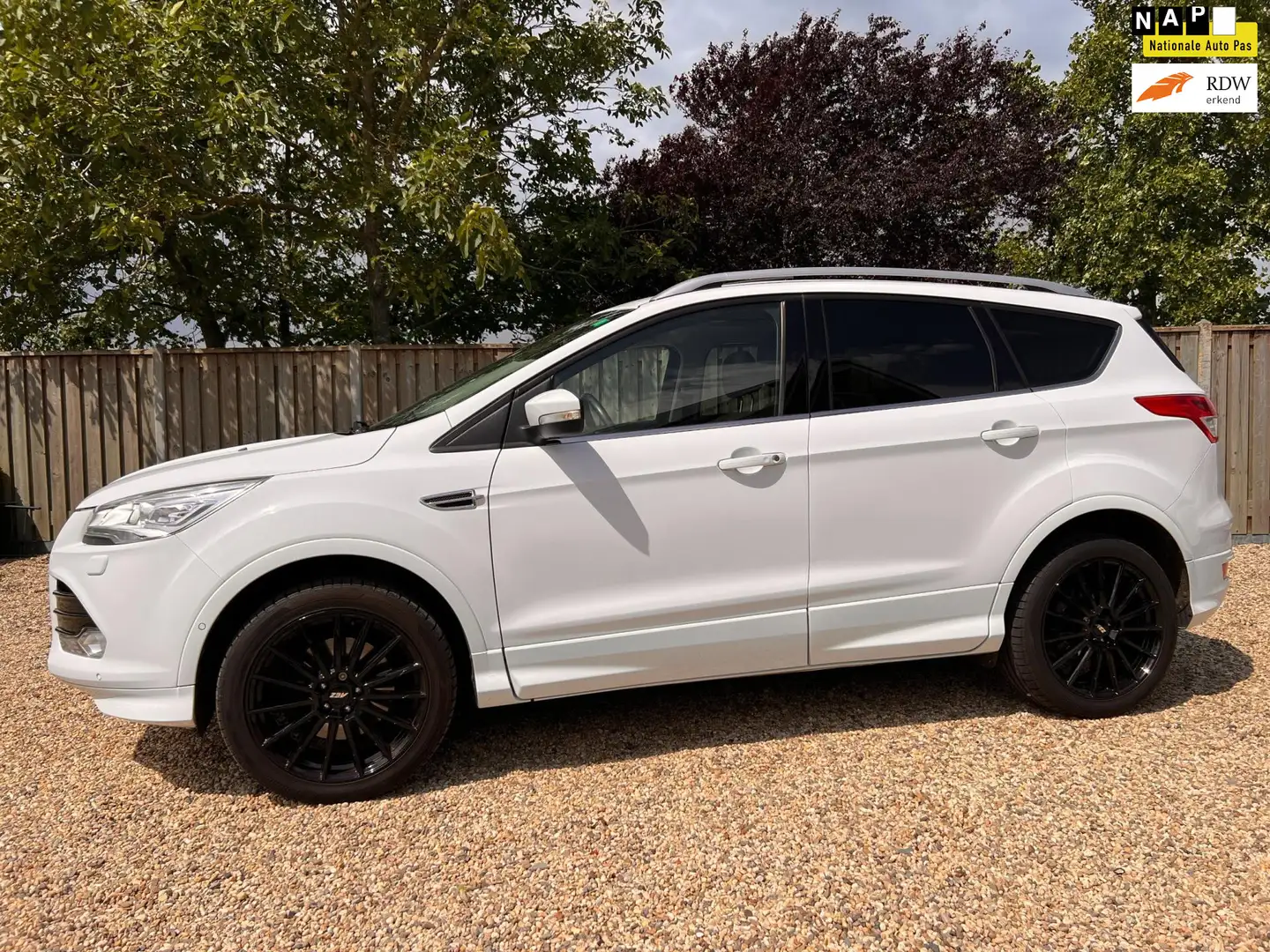 Ford Kuga 1.5 Titanium Styling Pack Panorama dak & Navigatie Wit - 1