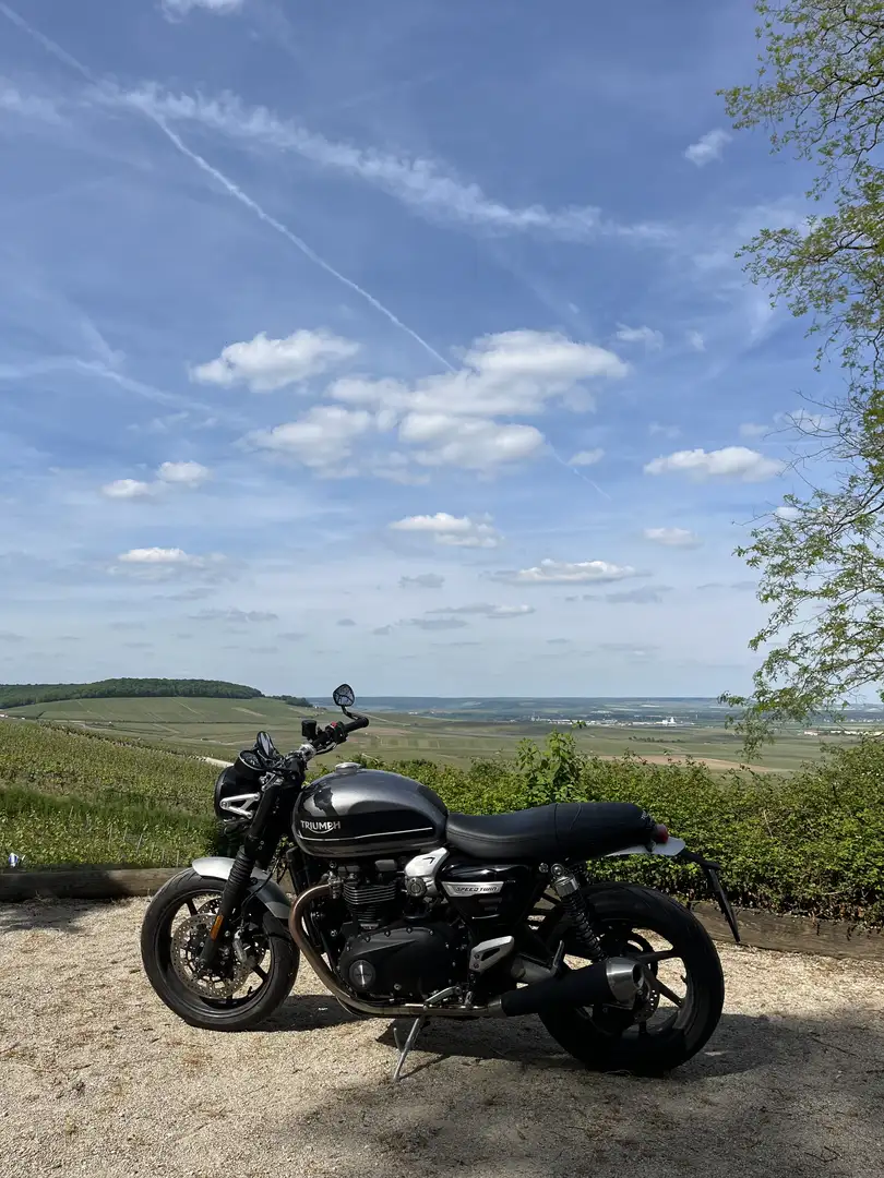Triumph Speed Twin 1200 - 2