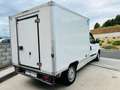 Fiat Dobló Chasis Plancher 1.6Mjt Base Maxi E5+ - thumbnail 6