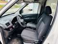 Fiat Dobló Chasis Plancher 1.6Mjt Base Maxi E5+ - thumbnail 9