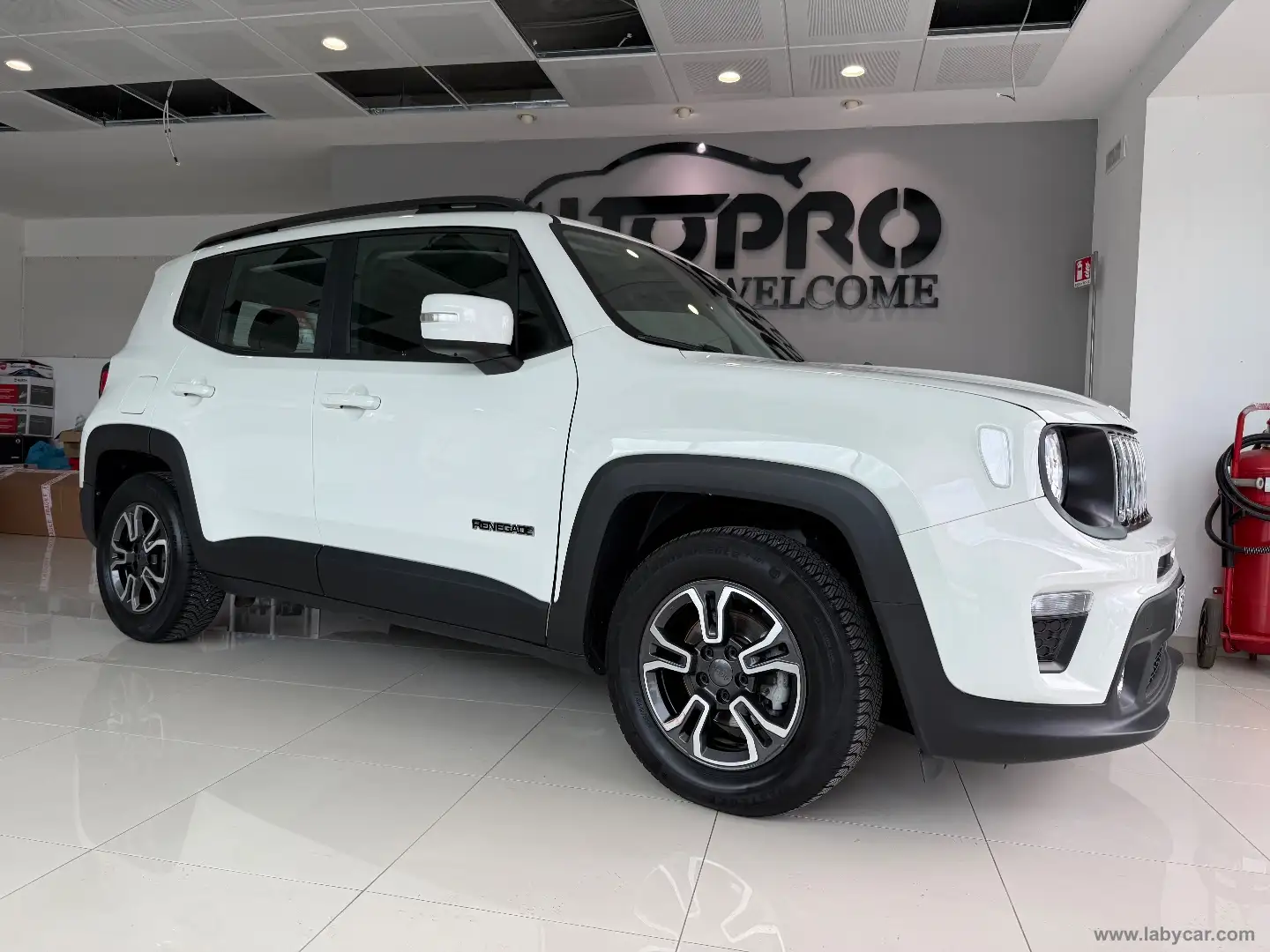 Jeep Renegade 1.6 Mjt 120CV Business Blanc - 2