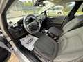 Ford Fiesta 1.5 TDCi 85 CV Titanium Led Clima Navi Grigio - thumbnail 6