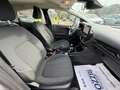 Ford Fiesta 1.5 TDCi 85 CV Titanium Led Clima Navi Grigio - thumbnail 14