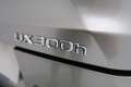 Lexus UX 300h PLUS 2.0 HYBRID 199 CV AUTO 5P - thumbnail 19