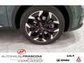 Kia Sorento Platinum 2.2D AWD (P2,P4) Navi Leder ACC El.Pano.D Verde - thumbnail 14