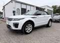 Land Rover Range Rover Evoque Cabriolet HSE TD4 AWD Dynamic Weiß - thumbnail 3