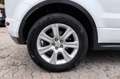 Land Rover Range Rover Evoque Cabriolet HSE TD4 AWD Dynamic Weiß - thumbnail 31