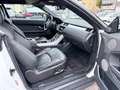 Land Rover Range Rover Evoque Cabriolet HSE TD4 AWD Dynamic Weiß - thumbnail 8