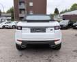Land Rover Range Rover Evoque Cabriolet HSE TD4 AWD Dynamic Weiß - thumbnail 5