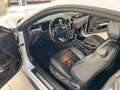 Ford Mustang GT 5.0 TI-VCT (EU) NAVI/LED/KAMERA/SPORT Weiß - thumbnail 10