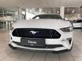 Ford Mustang GT 5.0 TI-VCT (EU) NAVI/LED/KAMERA/SPORT Weiß - thumbnail 3
