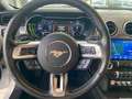 Ford Mustang GT 5.0 TI-VCT (EU) NAVI/LED/KAMERA/SPORT Weiß - thumbnail 13