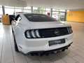 Ford Mustang GT 5.0 TI-VCT (EU) NAVI/LED/KAMERA/SPORT Weiß - thumbnail 4