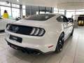 Ford Mustang GT 5.0 TI-VCT (EU) NAVI/LED/KAMERA/SPORT Weiß - thumbnail 5