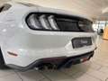 Ford Mustang GT 5.0 TI-VCT (EU) NAVI/LED/KAMERA/SPORT Weiß - thumbnail 9