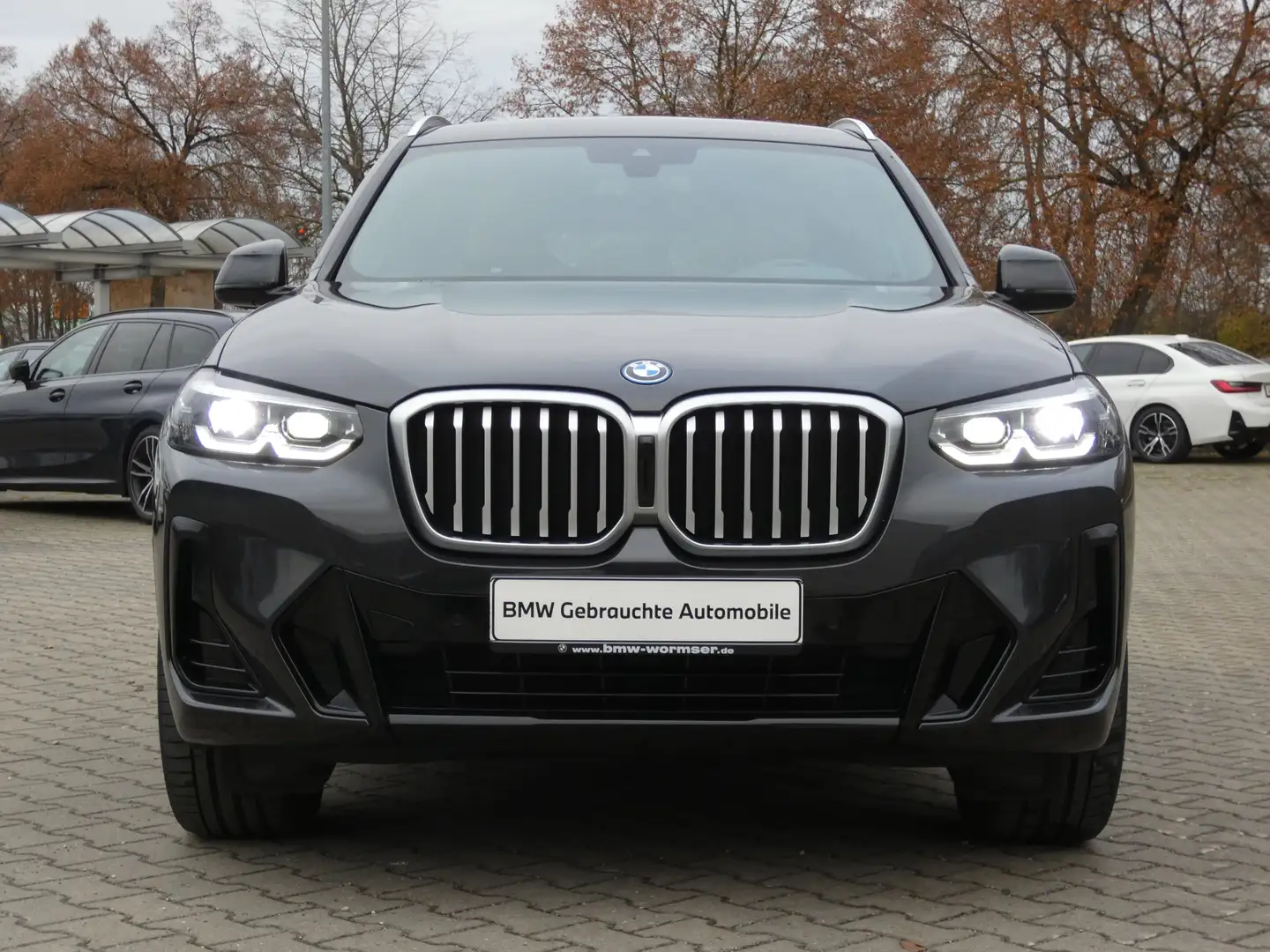 BMW X3 xDrive30e M Sport M Sportpaket Head-Up DAB Grau - 2