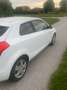Kia ProCeed / pro_cee'd pro cee'd 1,4 CVVT Cool Jackpot ISG Cool Jackpot Weiß - thumbnail 4