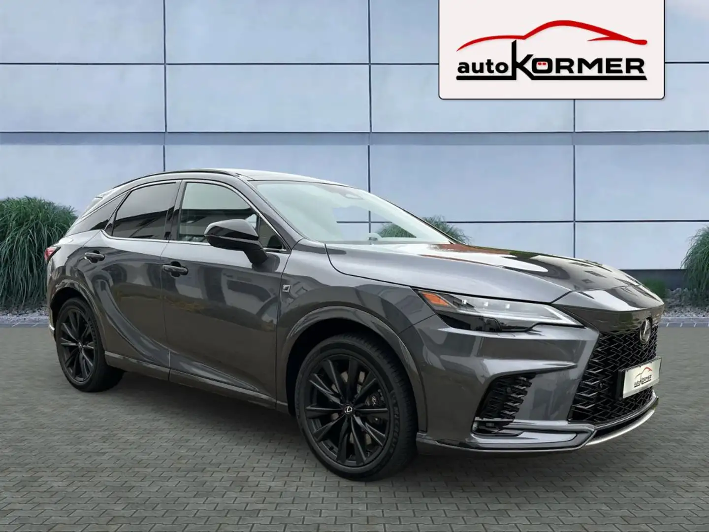 Lexus RX 500h F SPORT+ Interieur-Pak.,MarkLevinson,HUD,360° siva - 1