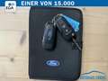 Ford EcoSport 1.0 EcoBoost TREND KLIMA*NAVI*BTH*ALU*PDC Grau - thumbnail 19