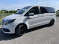 Mercedes-Benz V 220 CLASSE V - W447 compact 220 D rise auto monovolume Bianco - thumbnail 3