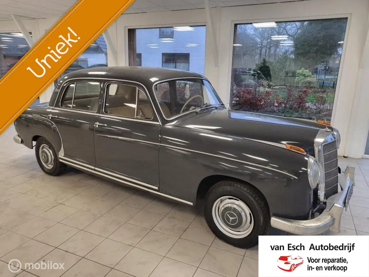 Mercedes-Benz 220 S Grau - 2