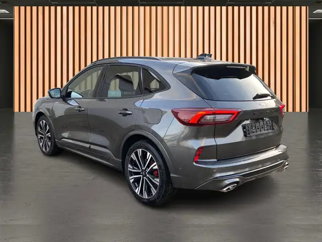 Ford Kuga view 7
