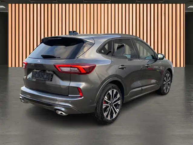 Ford Kuga view 6
