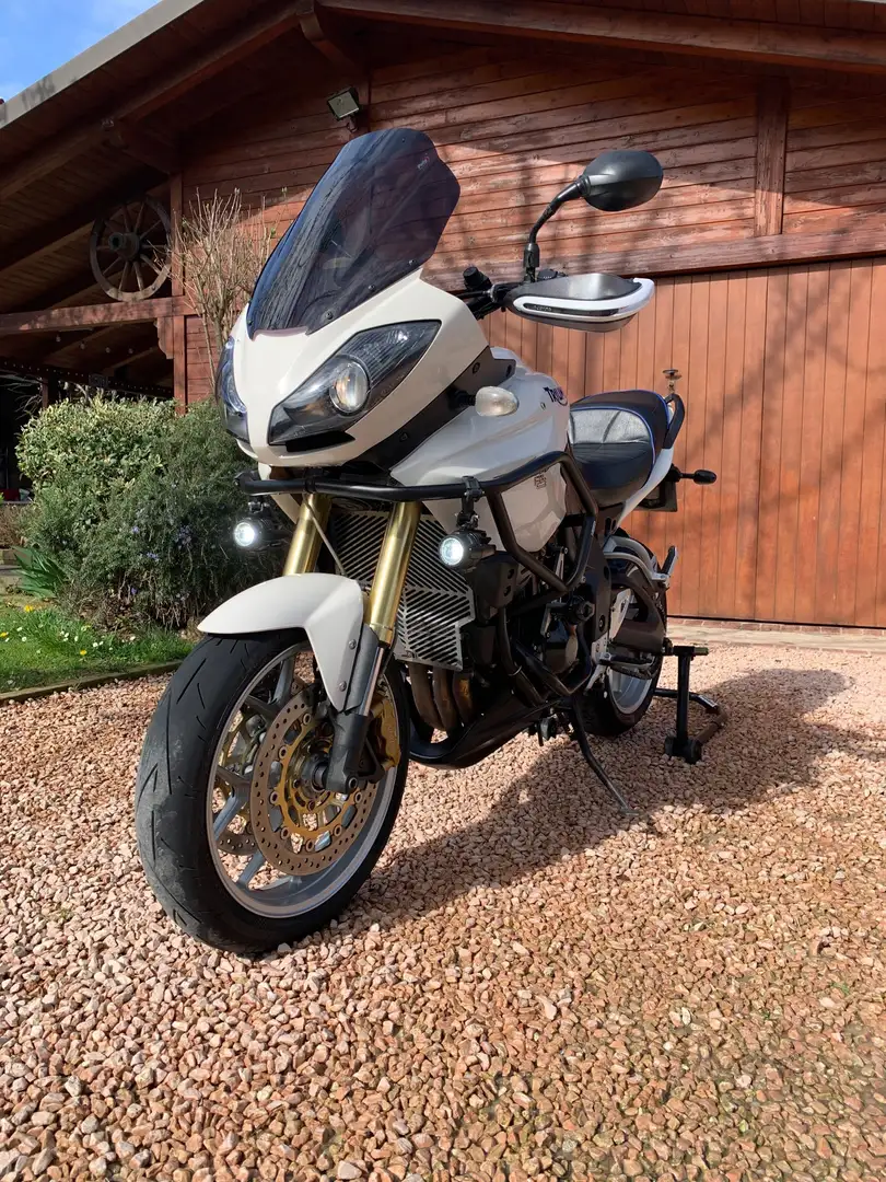 Triumph Tiger 1050 Motorcycles Limited 115 NG White - 1
