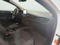 Ford Focus 1.0 Ecoboost MHEV 114kW ST-Line Blanco - thumbnail 11