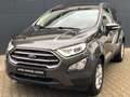 Ford EcoSport Cool & Connect Gris - thumbnail 1