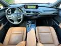 Lexus UX 250h 250h 4WD Executive MY20 - thumbnail 13