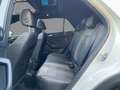 Volkswagen T-Roc R-Line 2.0TSI DSG AHK Sitzheizung Panorama Weiß - thumbnail 10