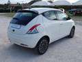 Lancia Ypsilon 1.0 firefly hybrid Platino 16570km Blanc - thumbnail 6