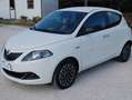 Lancia Ypsilon 1.0 firefly hybrid Platino 16570km Blanc - thumbnail 3