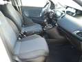 Lancia Ypsilon 1.0 firefly hybrid Platino 16570km Blanc - thumbnail 10