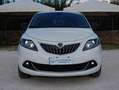 Lancia Ypsilon 1.0 firefly hybrid Platino 16570km Blanc - thumbnail 2
