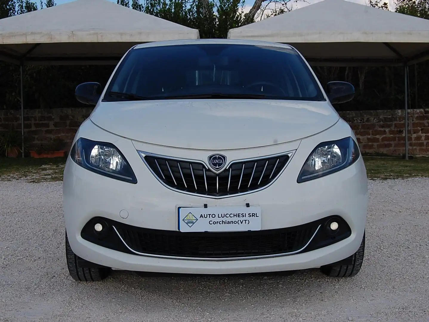 Lancia Ypsilon 1.0 firefly hybrid Platino 16570km Bianco - 2