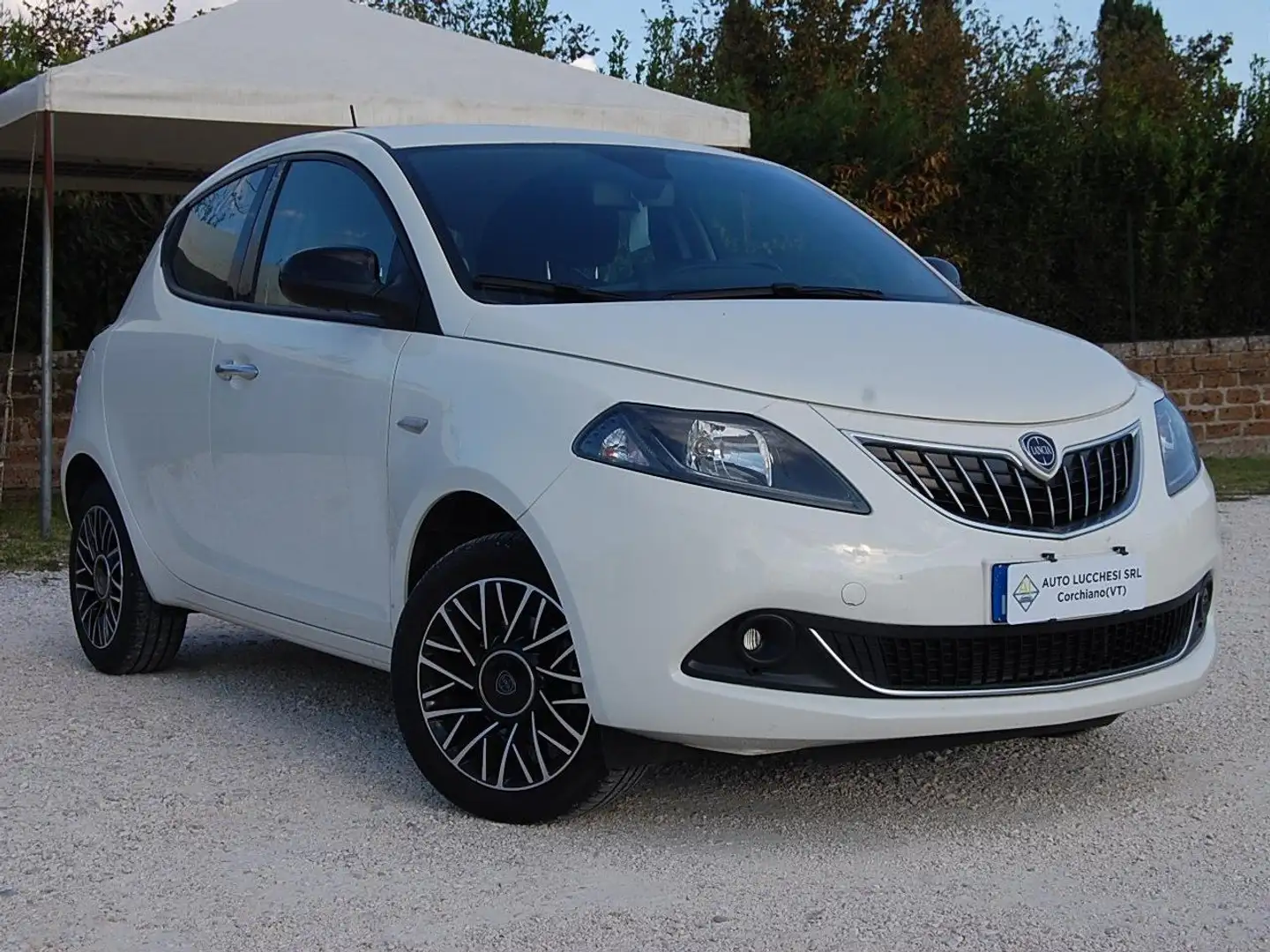 Lancia Ypsilon 1.0 firefly hybrid Platino 16570km Bianco - 1