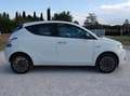 Lancia Ypsilon 1.0 firefly hybrid Platino 16570km Blanc - thumbnail 7