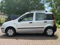 Fiat Panda 1.2 AUTOMATIK*KLIMA*WENIG-KM Silber - thumbnail 4