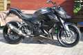 Kawasaki Z 300 Sportliches Anfängerbike Gris - thumbnail 3