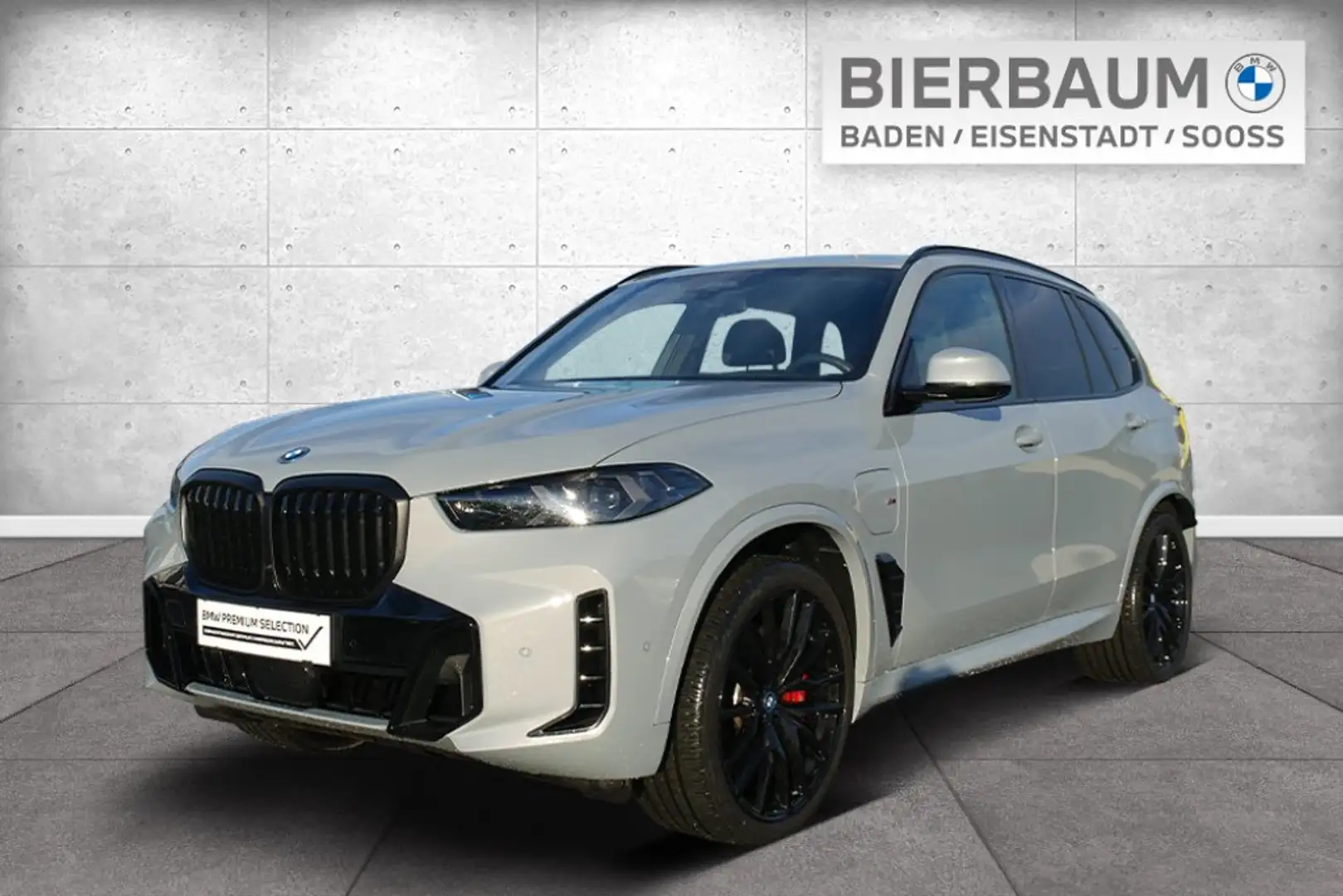 BMW X5 xDrive50e Grau - 1