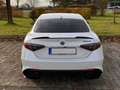 Alfa Romeo Giulia Giulia 2.9 V6 Bi-Turbo AT8 Quadrifoglio Weiß - thumbnail 5