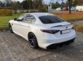 Alfa Romeo Giulia Giulia 2.9 V6 Bi-Turbo AT8 Quadrifoglio Weiß - thumbnail 6