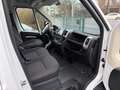 Opel Movano C L4H3 Edition+HOCH LANG+KLIMA+KAMERA+ Weiß - thumbnail 11