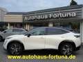 Nissan Ariya Evolve Pack 87 kwh Glasdach 20-Zoll HUD Weiß - thumbnail 2