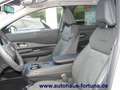 Nissan Ariya Evolve Pack 87 kwh Glasdach 20-Zoll HUD Weiß - thumbnail 5
